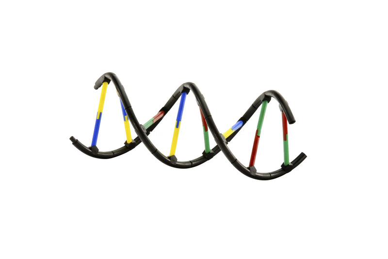 Genetics and DNA Lab Kit by Thames & Kosmos  Early Science STEM Toys Gifting Idea for 10yrs+