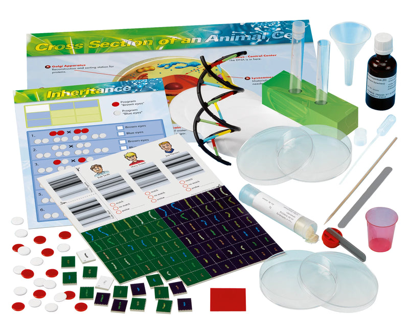 Genetics and DNA Lab Kit by Thames & Kosmos  Early Science STEM Toys Gifting Idea for 10yrs+