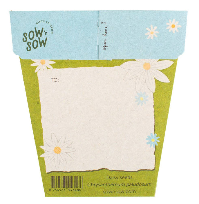 Sow 'n Sow Daisy Gift of Seeds 3yrs+