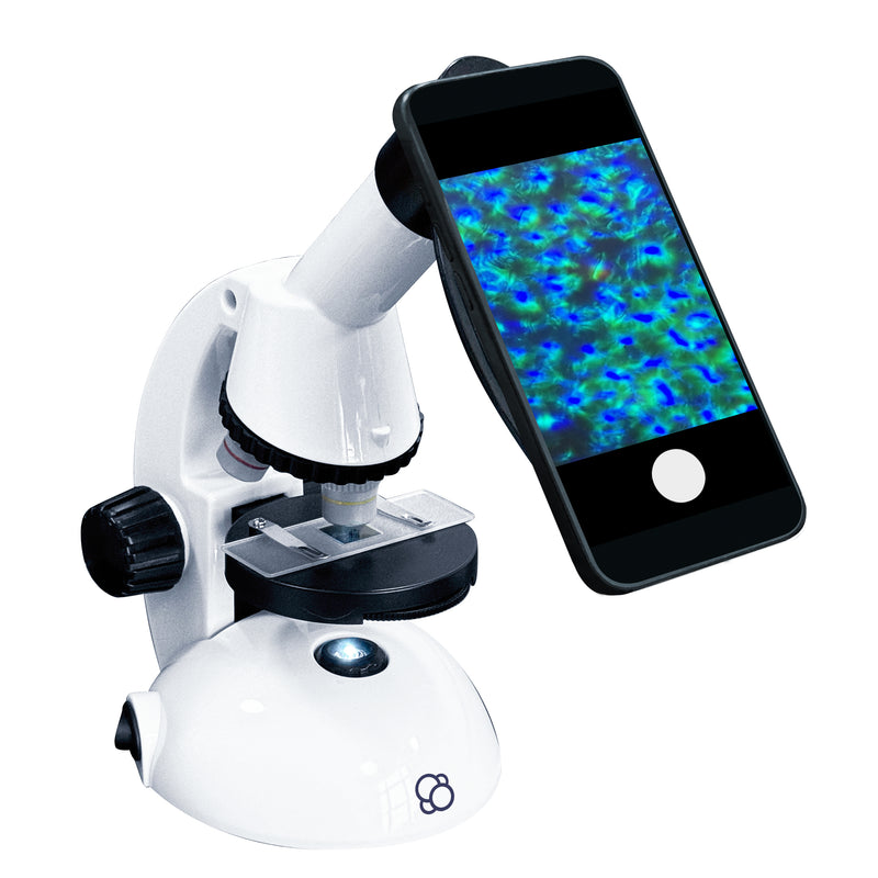 Microscope with Smartphone Adapter by Thames & Kosmos Early Science STEM Toys 8yrs+