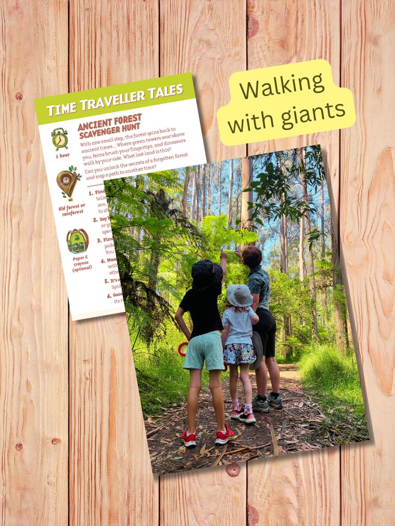 Bush Adventure Cards for Nature Explorers 22pcs by Gumnut Trails Missions, Games and Story Cards Outdoor Travel Toys Storytelling 3yrs+