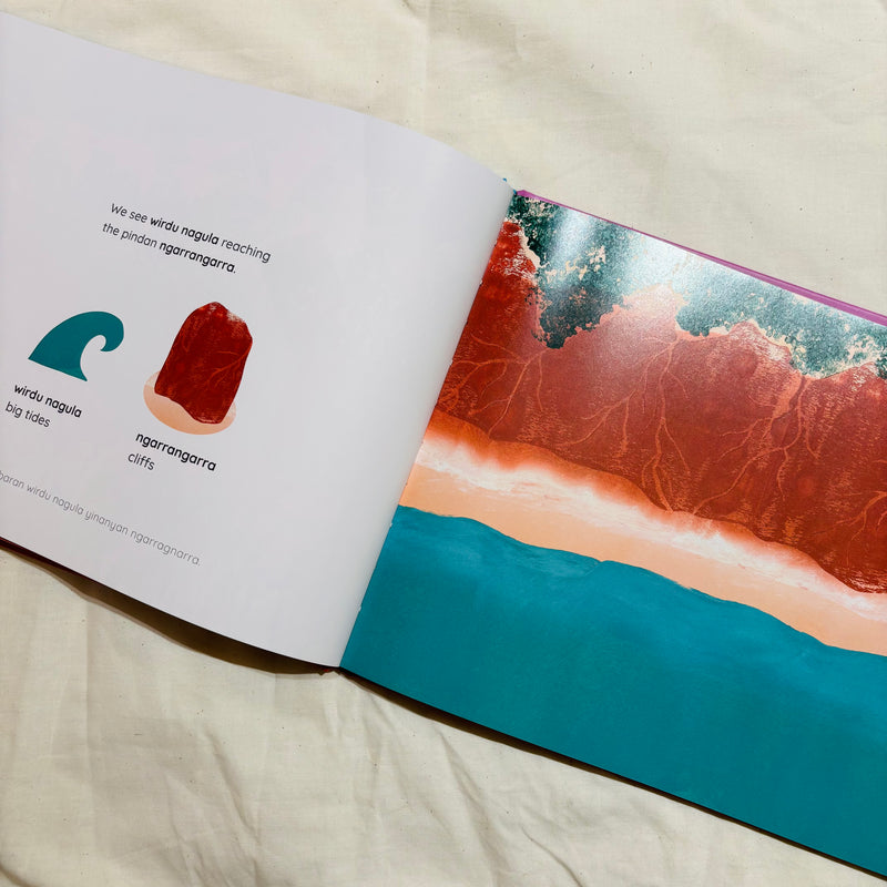 Country Tells Us When... by Tsheena Cooper, Mary Dann, Dalisa Pigram-Ross and Sheree Ford (Hardcover) First Nations Book Australian Book Kids Book