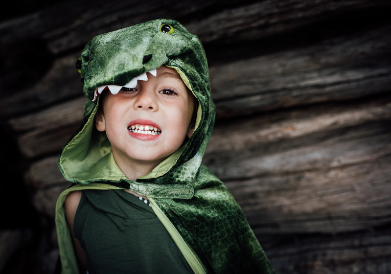 T-Rex Hooded  Size 4-5 Cape by Great Pretender Costumes Best Seller Dinosaur and Dragon Theme 3yrs+