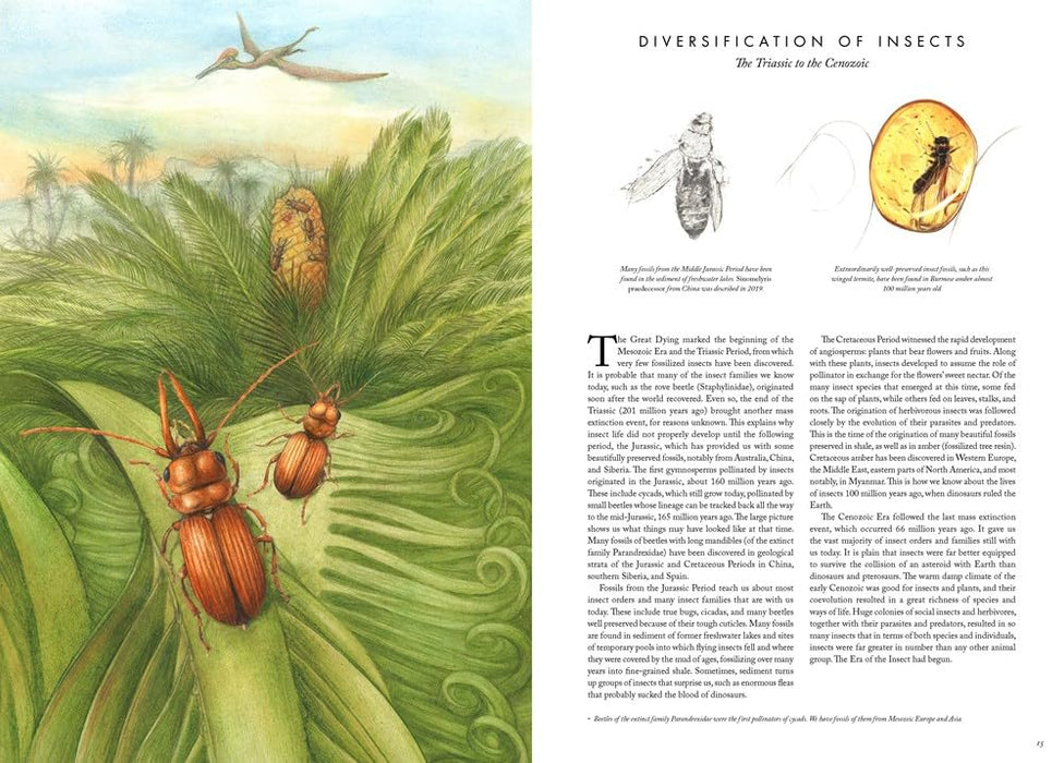 Insectopia: The Wonderful World of Insects (Hardcover)