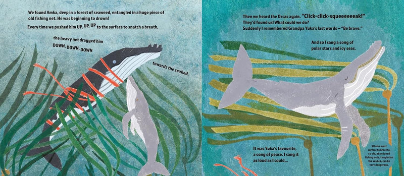 The Brave Little Whale (Hardcover) by Charlotte Manning Kids Ocean Book