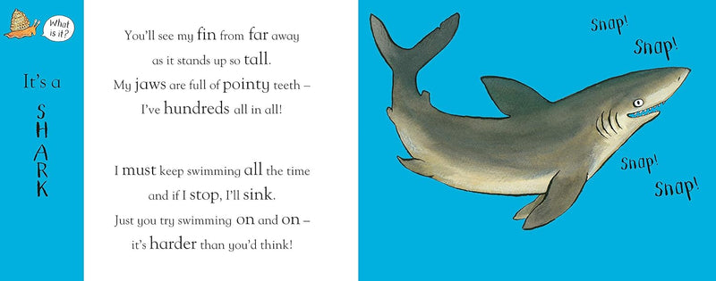 Flip Flap Ocean Book by Axel Scheffler (Hardcover): Ocean Nature Kids Interactive Book