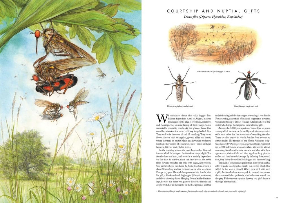 Insectopia: The Wonderful World of Insects (Hardcover)