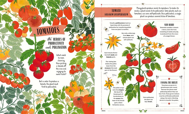 Grow : A Guide to Plants and How to Grow Them (Hardcover) by Riz Reyes, Sara Boccaccini Meadows From Magic Cat - Gardening and Nature Non-fiction Kids Book