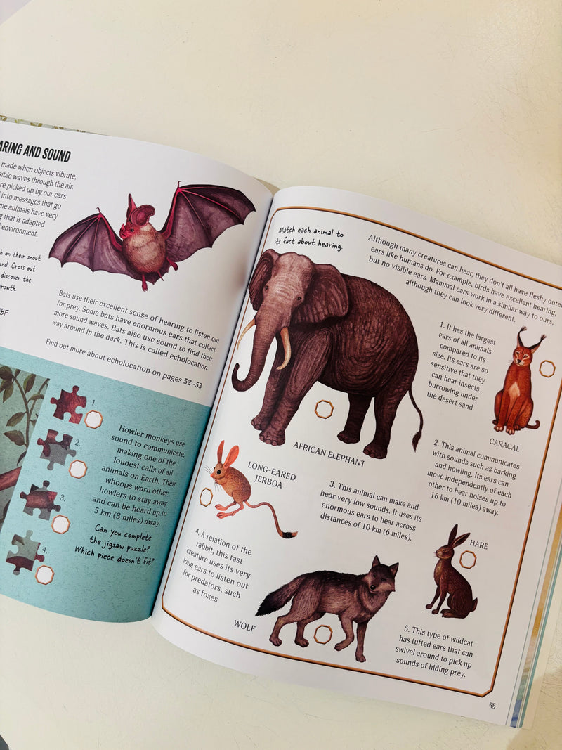 Museum of Marvels Animal Activity Book 7yrs+