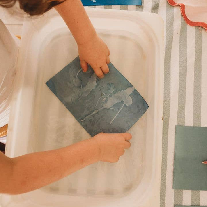 Nature Print Kit Sun Printing Paper by Our Earth Life Nature Play Art and craft for kids 3yrs+