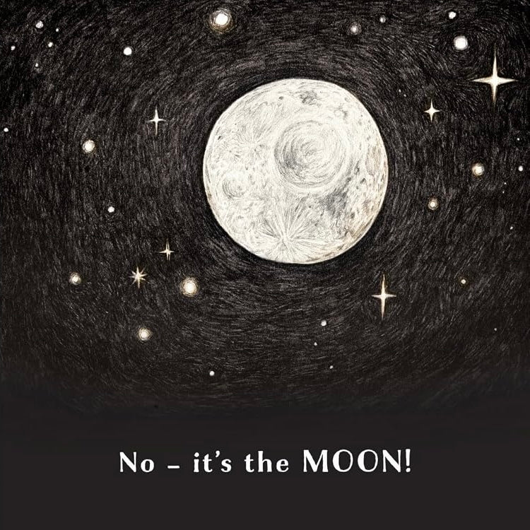 Is This A Plum? (Hardcover) by by Dan Ojari and Finn Ojari A Peek-Through Picture Book