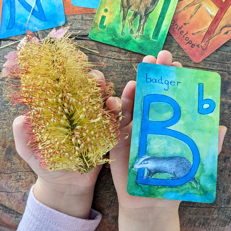 Grimm's Waldorf Education Alphabet Cards 48 Cards Early Literacy Cognitive Language Phonics 3yrs+