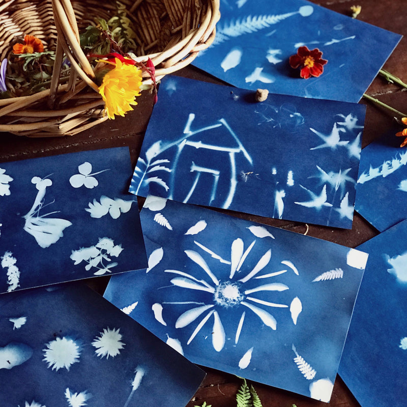 Nature Print Kit Sun Printing Paper by Our Earth Life Nature Play Art and craft for kids 3yrs+