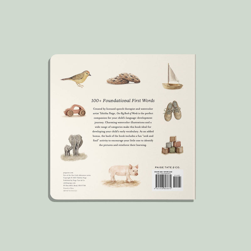 Our Big Book of First Words by Paige Tate & Co(Board Book) Baby Toys