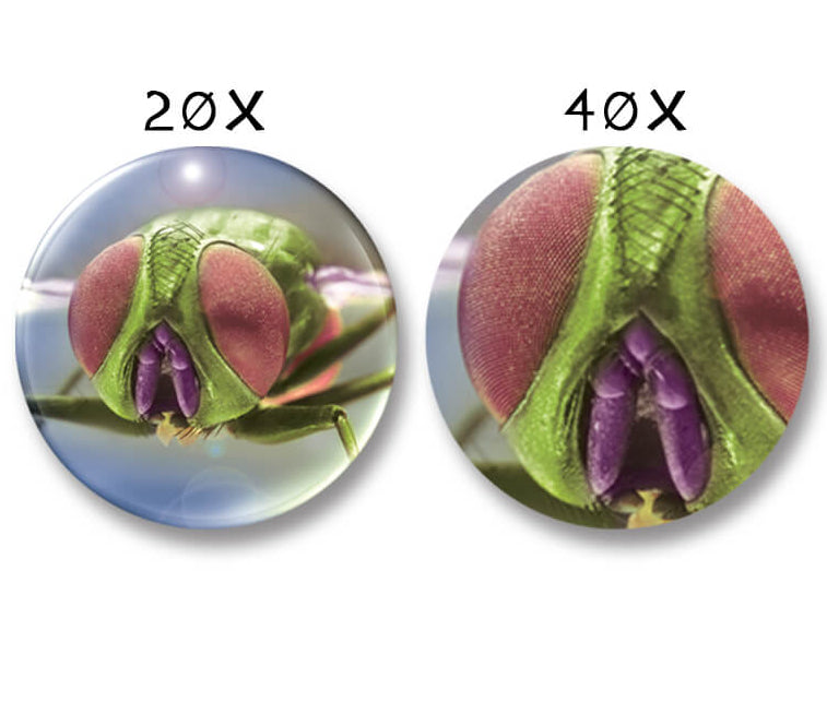 Zoomscope Microscope By Navir Early Science STEM Outdoor toys Best Seller Gifting Idea for 6yrs+