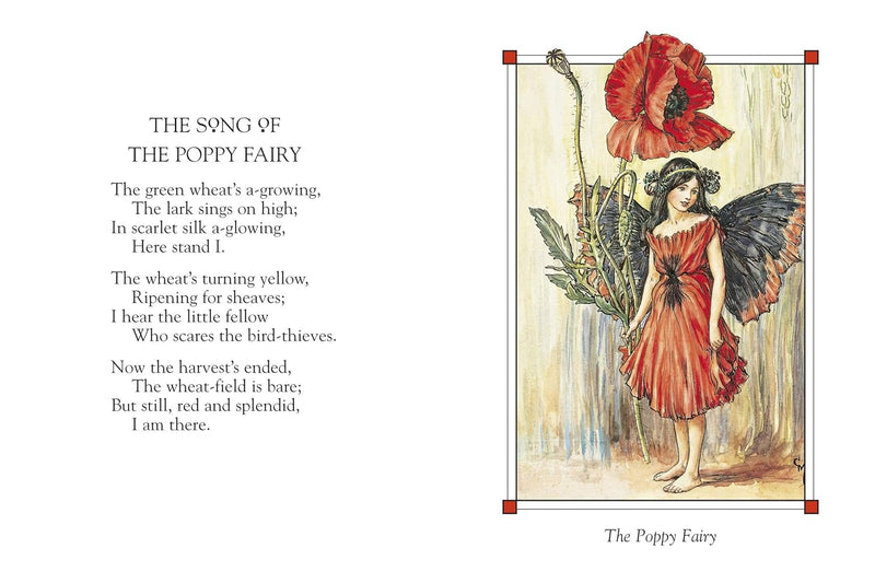 Flower Fairies Of The Summer (Hardcover) by Cicely Mary Barker Fairy Kids Picture Book Fairy Unicorn and Castle Theme