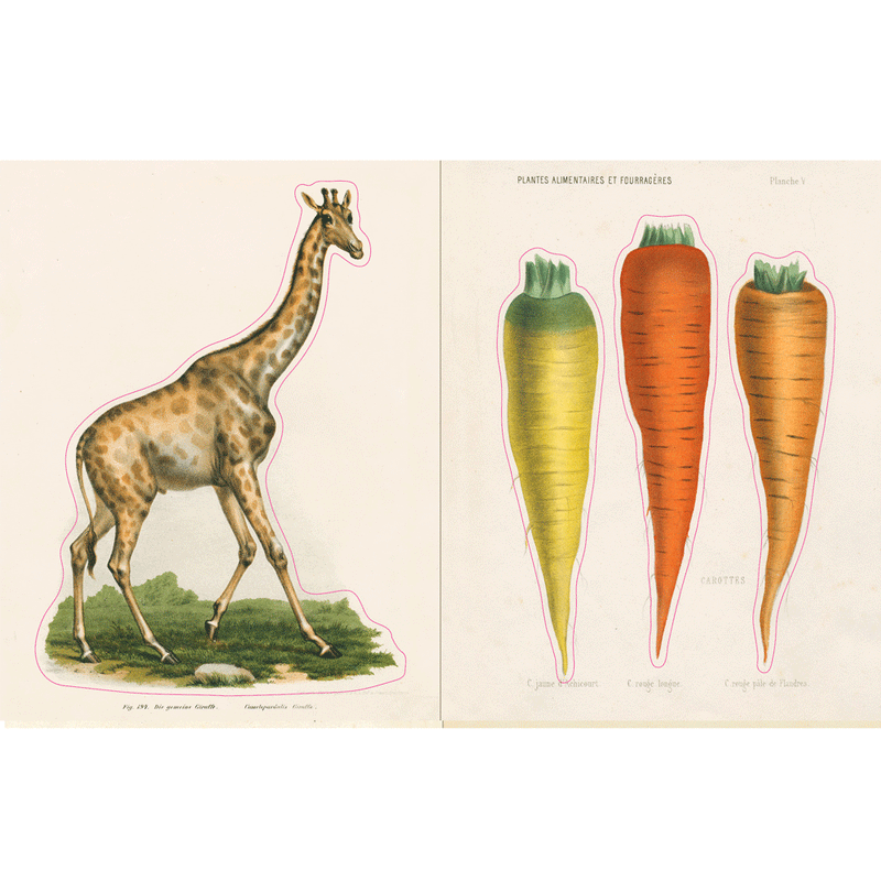 John Derian Sticker Book With Over 500 Stickers (Hardcover) Kids Picture book