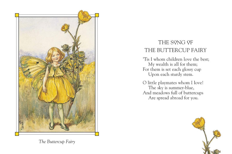 Flower Fairies Of The Summer (Hardcover) by Cicely Mary Barker Fairy Kids Picture Book Fairy Unicorn and Castle Theme