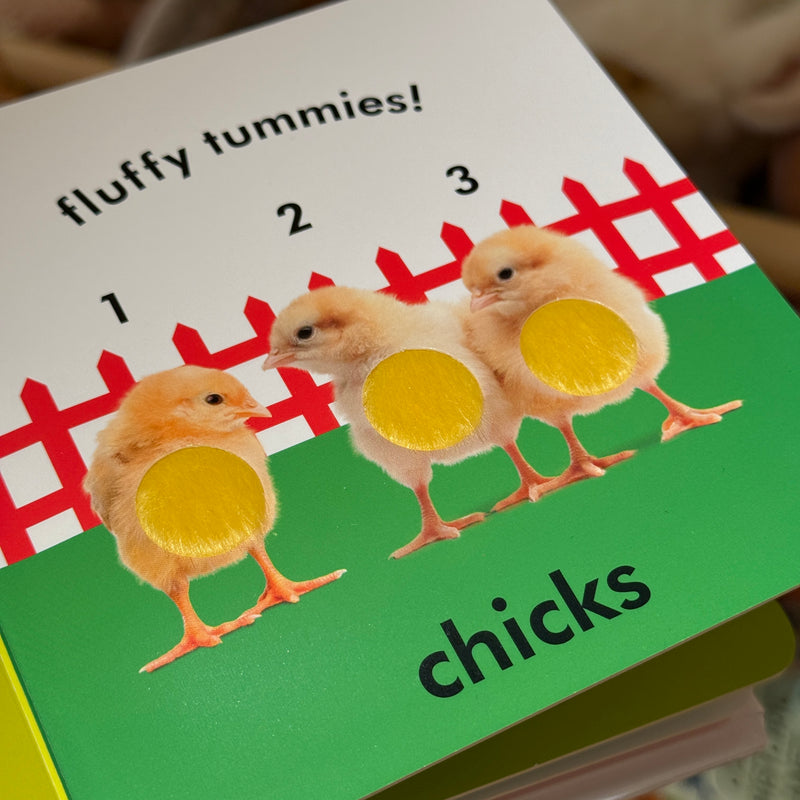 Baby Touch and Feel Farm Animals (Board Book) Kids Book Baby Gifts Idea
