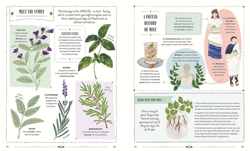 Grow : A Guide to Plants and How to Grow Them (Hardcover) by Riz Reyes, Sara Boccaccini Meadows From Magic Cat - Gardening and Nature Non-fiction Kids Book