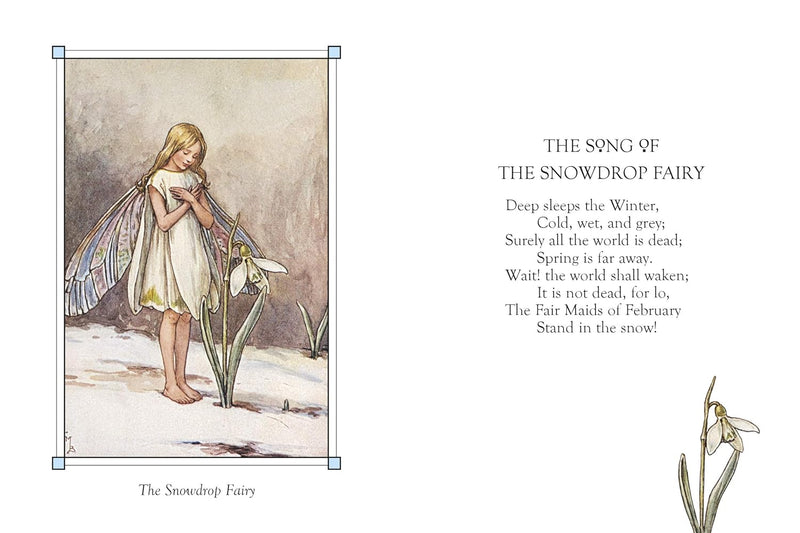 Flower Fairies Of The Winter (Hardcover) by Cicely Mary Barker Fairy Kids Picture Book Fairy Unicorn and Castle Theme