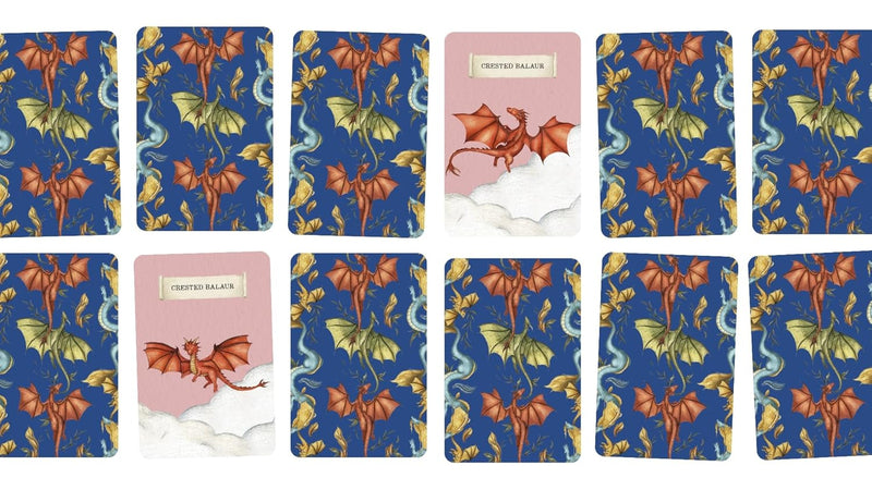 Discover The Dragons Kids Memory Card Game Dinosaur and Dragon Theme 4yrs+