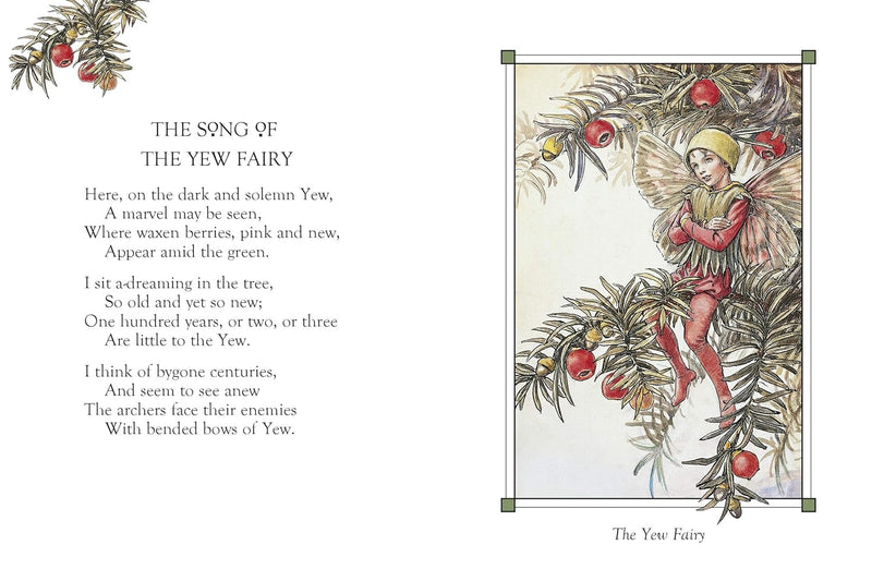 Flower Fairies Of The Winter (Hardcover) by Cicely Mary Barker Fairy Kids Picture Book Fairy Unicorn and Castle Theme