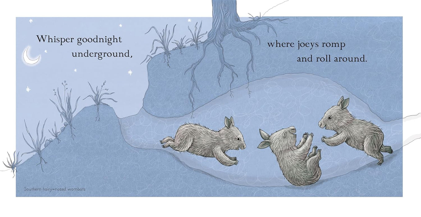 Goodnight, Joeys (Board Book) by Renee Treml