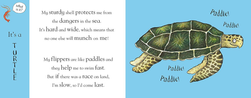 Flip Flap Ocean Book by Axel Scheffler (Hardcover): Ocean Nature Kids Interactive Book