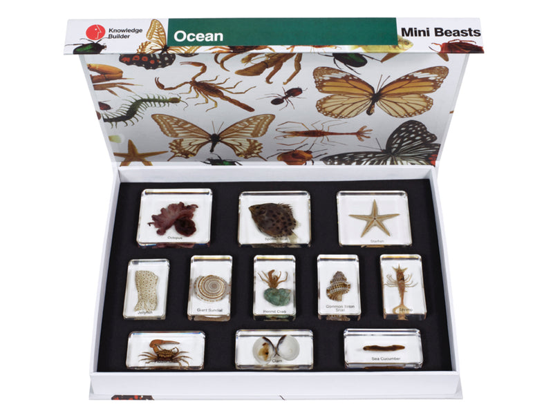 Mini Beasts Ocean Large Set by Knowledge Builder Early Science STEM Toys 3yrs+