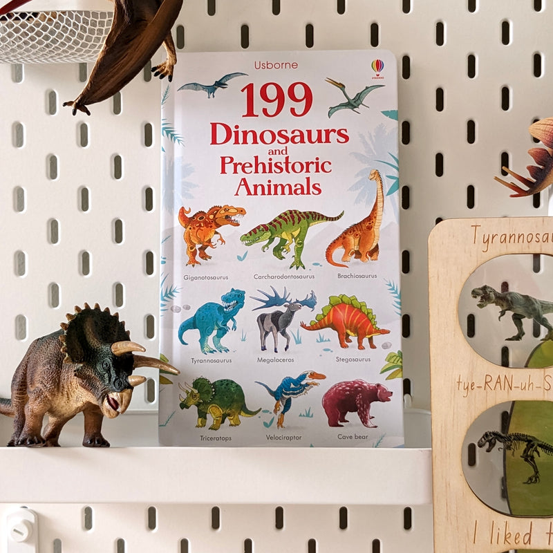 199 Dinosaurs and Prehistoric Animals (Board Book) Dinosaur Kids Book Dinosaur and Dragon Theme