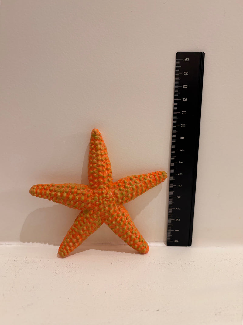 Starfish Figurine by Safari Ltd Sea Life Collection Animal Figurines 3yrs+