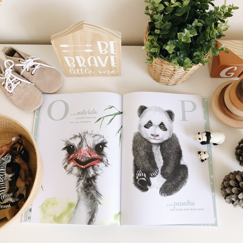 Adored Illustrations The Amazing ABC Book (Hardcover) Early Literacy Gift Kids Picture Book Clearance