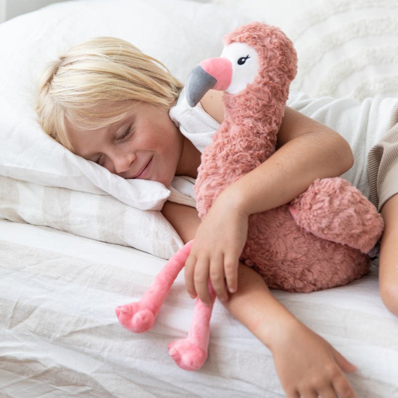 Mindful and Co Kids Francesca The Sensory Flamingo Weighted Plush Toys Wellbeing Gifting Idea 3yrs+