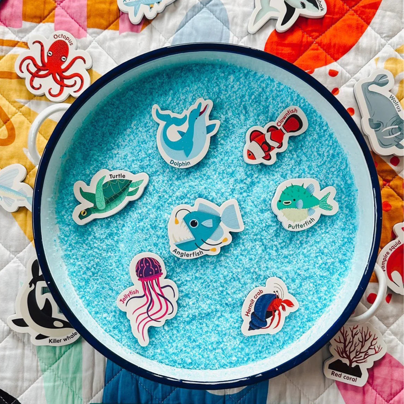 Curious Columbus Magnetic Sea Creatures and Letters Early Phonics Literacy 3yrs+
