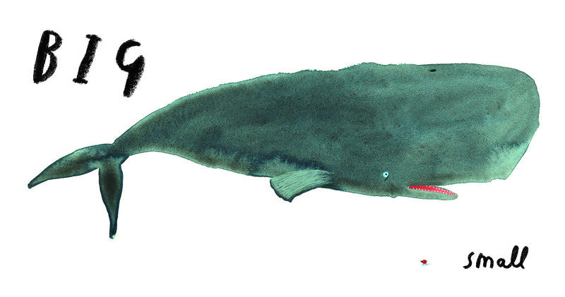 Here we are Book of Opposites (Board Book) Kids Book