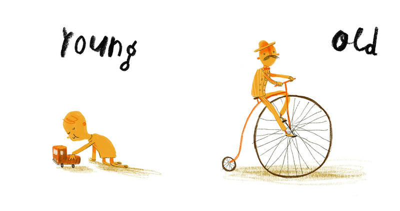 Here we are Book of Opposites (Board Book) Kids Book