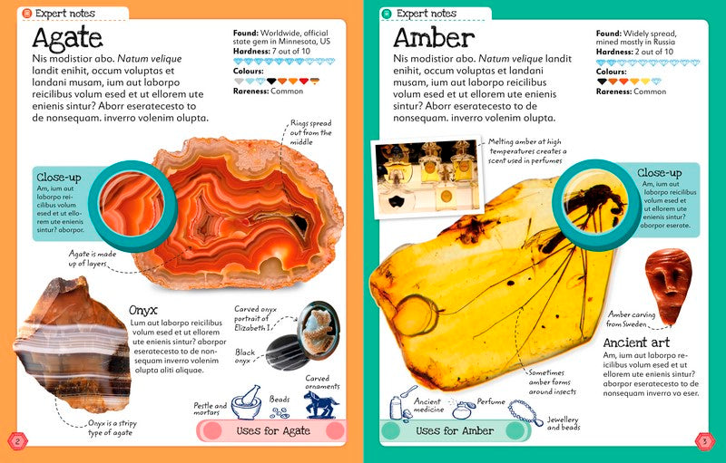 My Book of Rocks and Minerals (Hardcover): Science. Science STEM Book