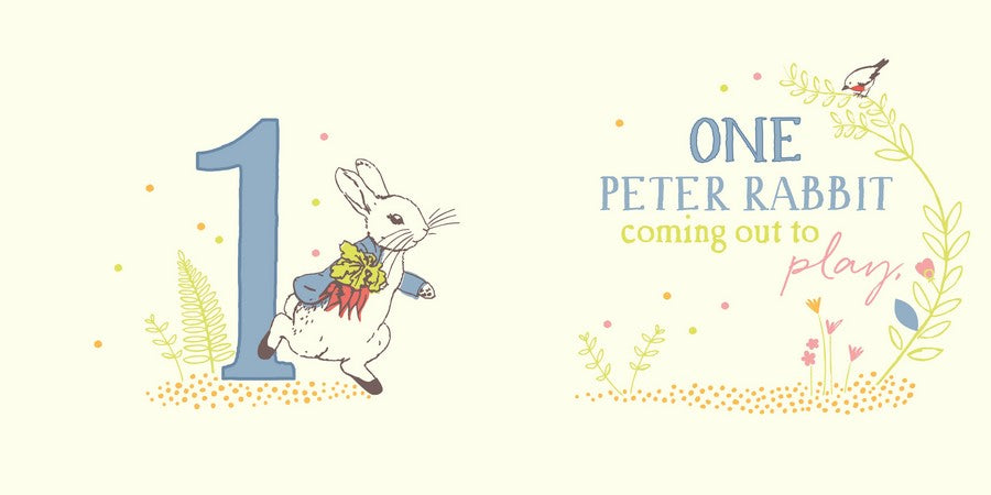 Peter Rabbit 123: A Counting Book (Board Book) Early Math STEM Kids Bo ...