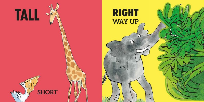 Roald Dahl's Opposites (Lift the Flap Board Book) Kids Book