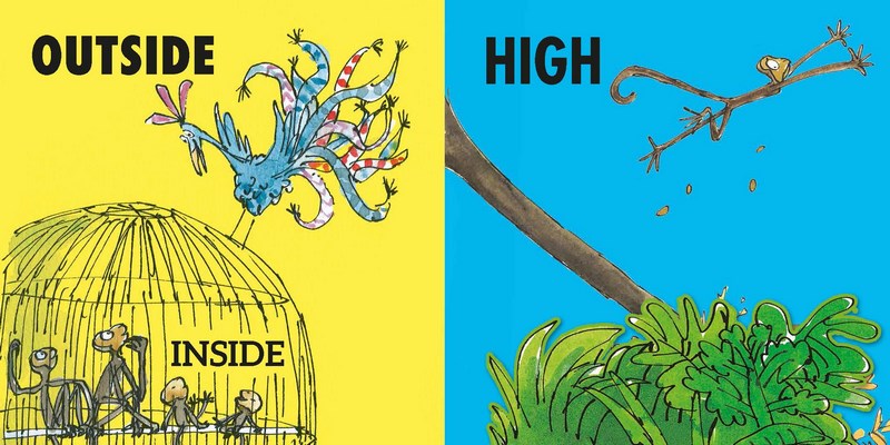 Roald Dahl's Opposites (Lift the Flap Board Book) Kids Book