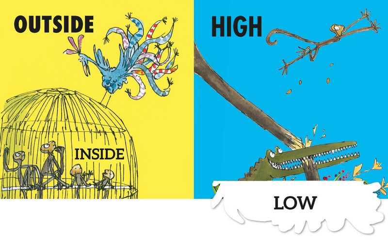 Roald Dahl's Opposites (Lift the Flap Board Book) Kids Book