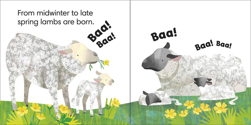 Jonny Lambert's Farm (Lift the Flap Book, Interactive Book) Interactive Book by Jonny Lambert: Farm Animal Toys