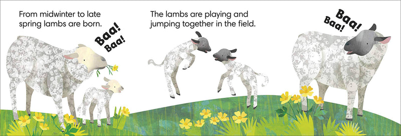 Jonny Lambert's Farm (Lift the Flap Book, Interactive Book) Interactive Book by Jonny Lambert: Farm Animal Toys