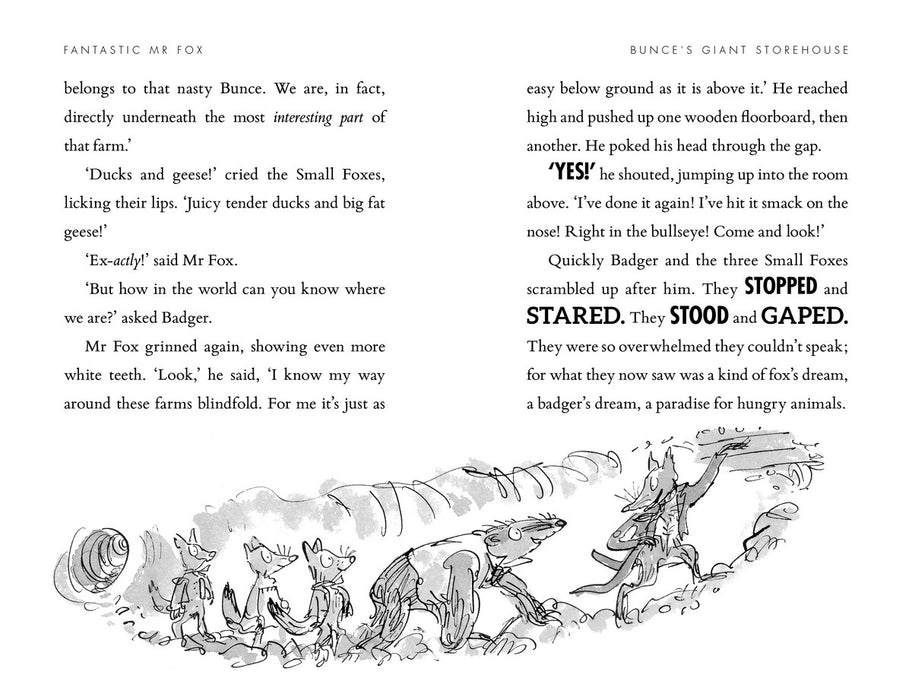 Fantastic Mr Fox by Roald Dahl (Paperback)