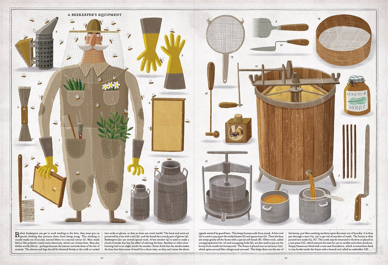 The Book Of Bees (Hardcover) by Piotr Socha Non-fiction Kids Book Earth Science