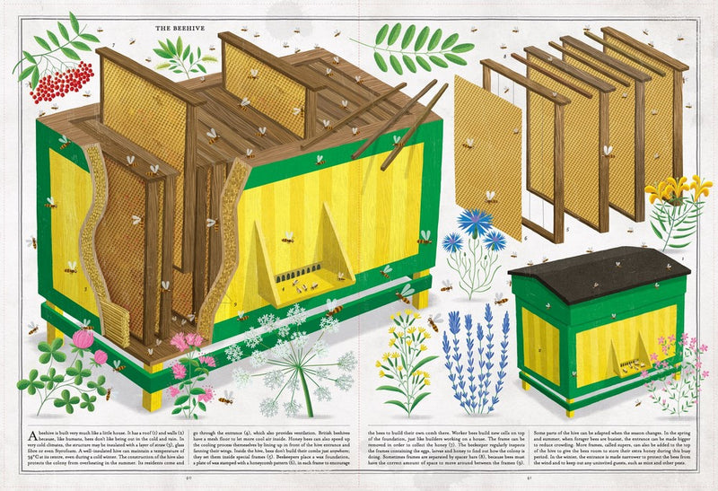 The Book Of Bees (Hardcover) by Piotr Socha Non-fiction Kids Book Earth Science