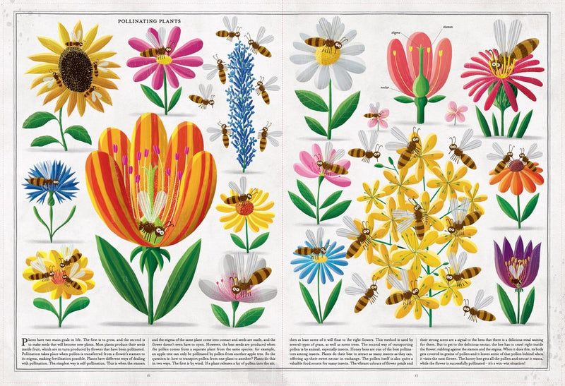 The Book Of Bees (Hardcover) by Piotr Socha Non-fiction Kids Book Earth Science