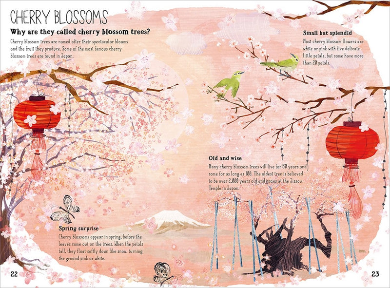 The Big Book Of Blooms (Hardcover) Nature Book Non-fiction Kids Picture Book