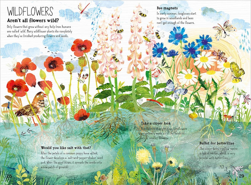 The Big Book Of Blooms (Hardcover) Nature Book Non-fiction Kids Picture Book